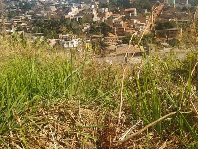 Área para Venda em Ribeirão das Neves - 4